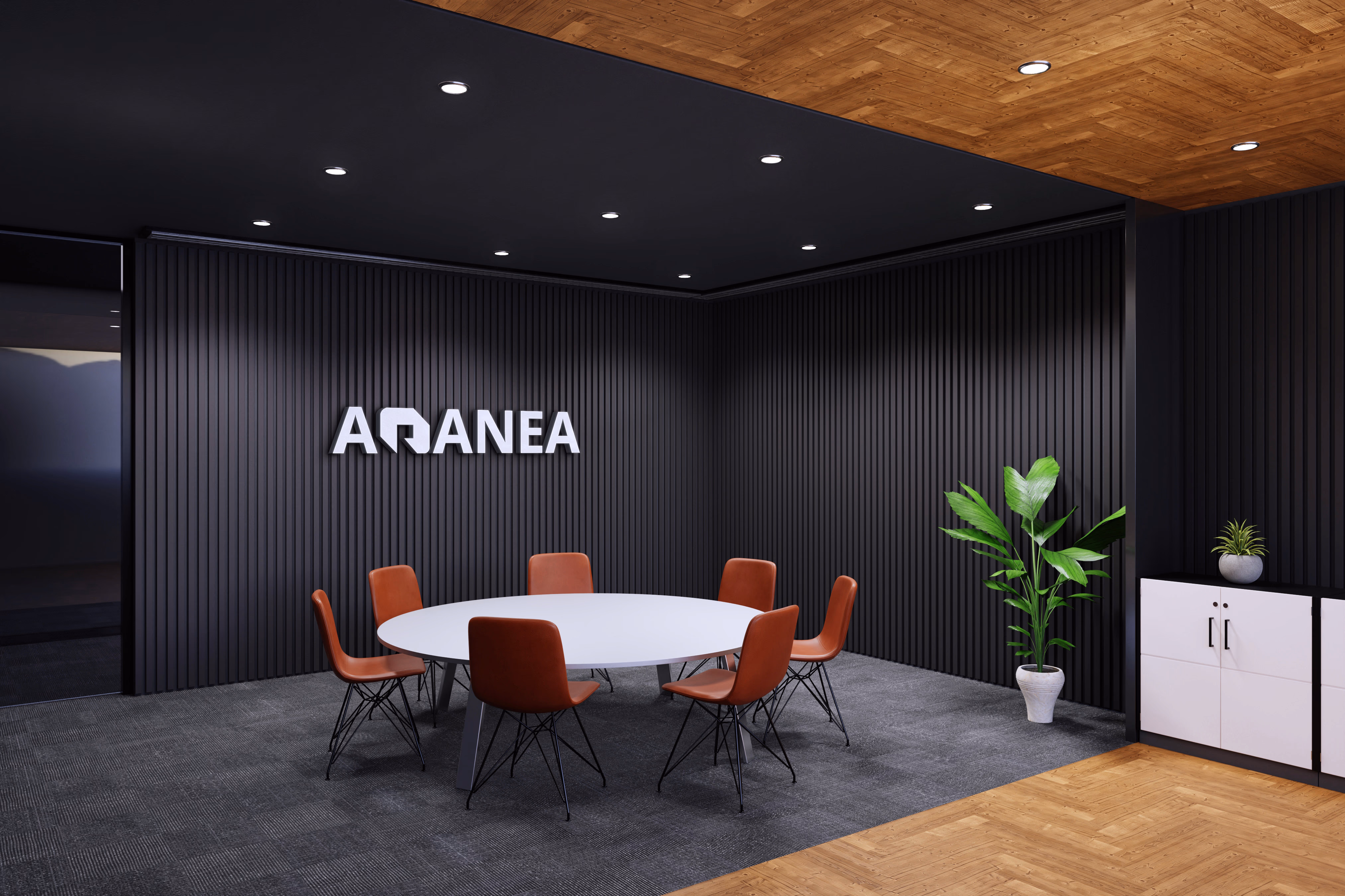 Aranéa insurance campaign identity application